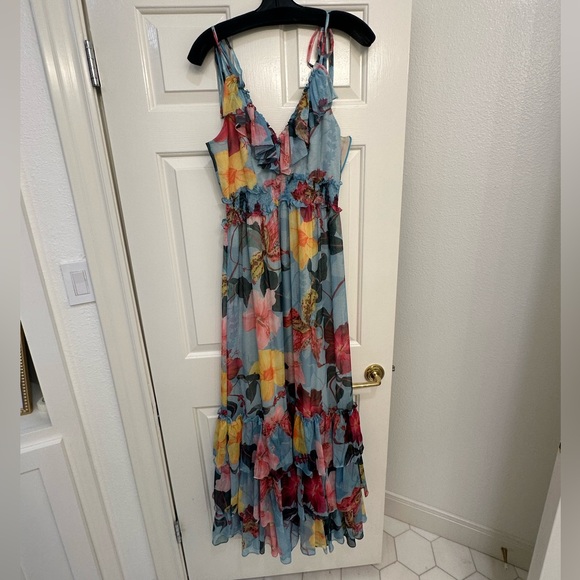 PatBo Hibiscus Ruffle Maxi Dress - Picture 3 of 6
